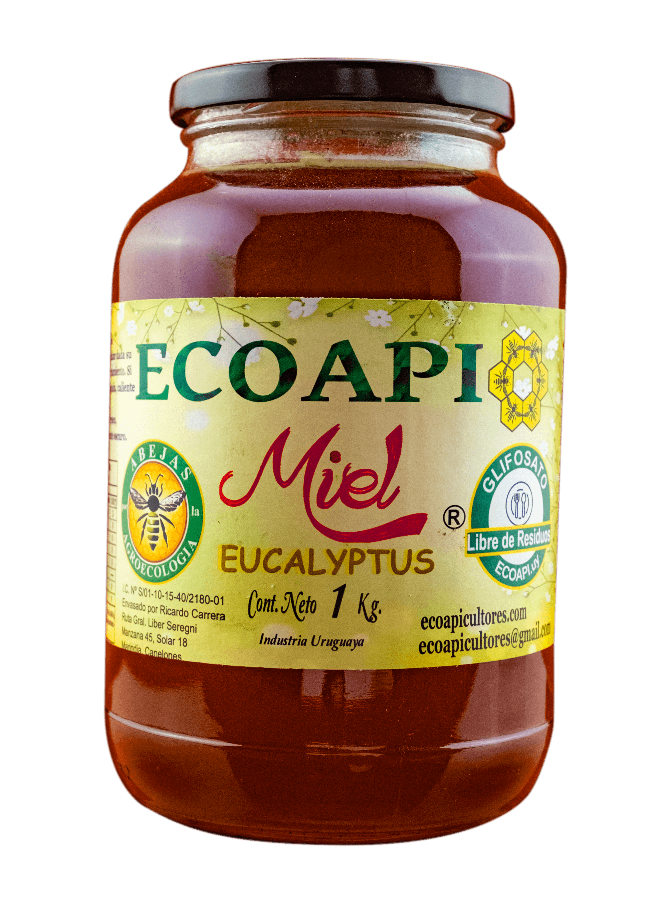 Miel de Eucalyptus 1kg