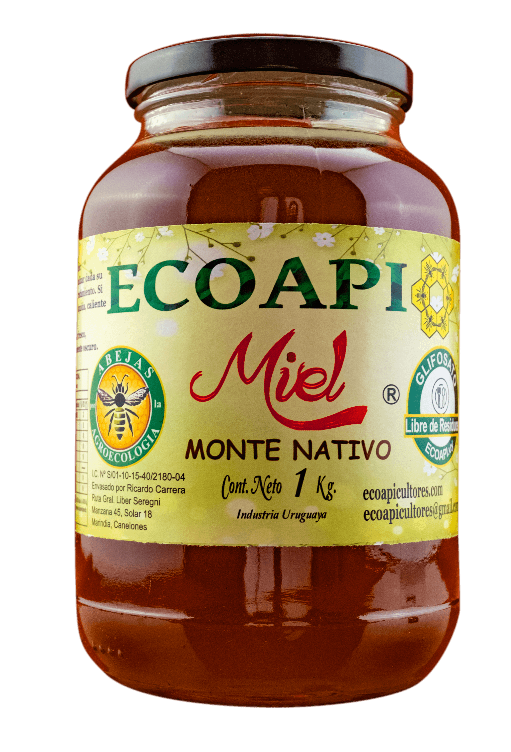 Miel de Monte Nativo 1kg